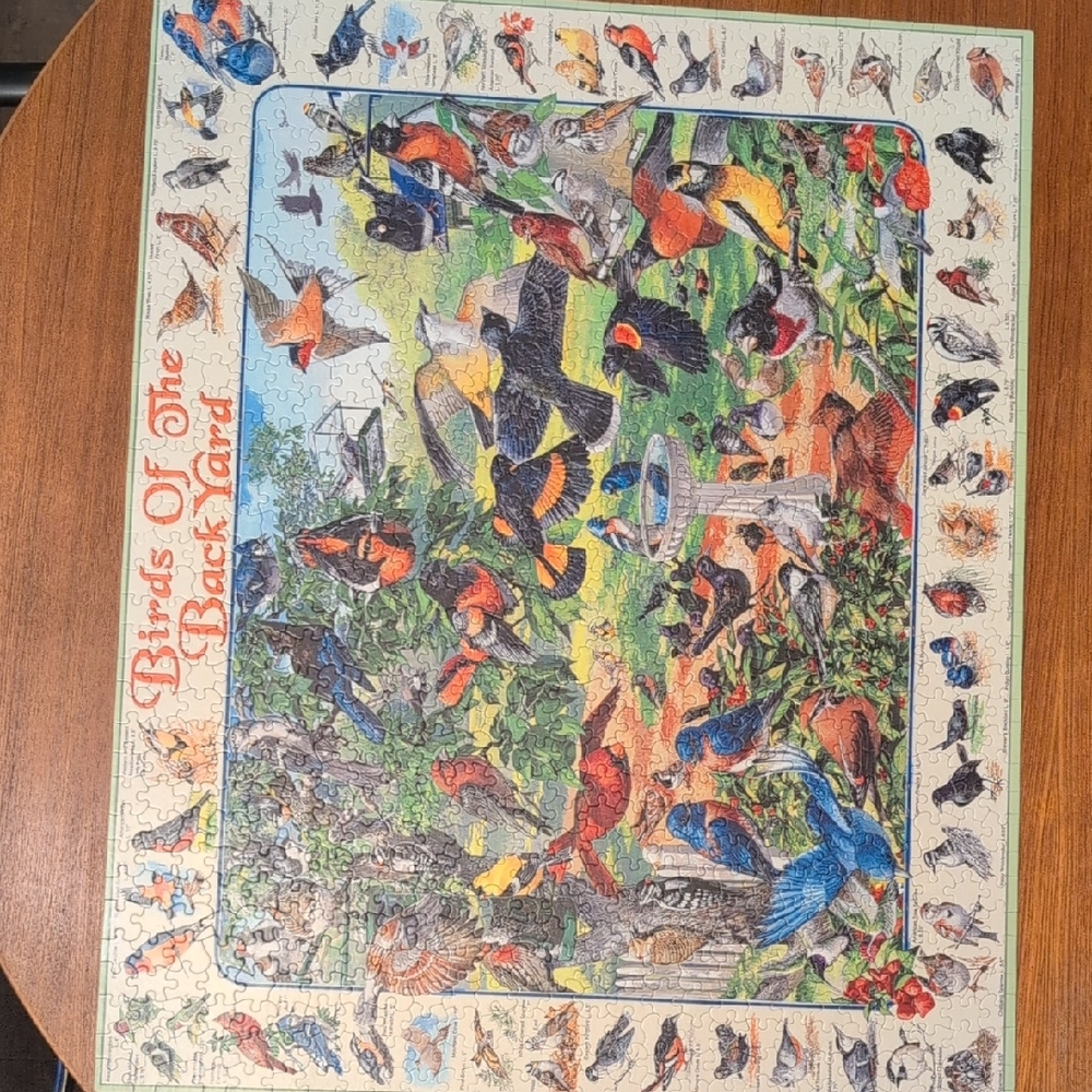 White Mountain Colorful Backyard Birds Puzzle